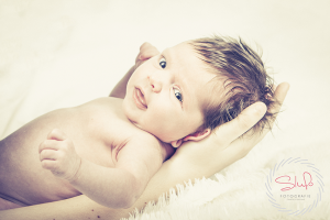 Newbornshoot Haaksbergen