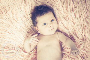 Newbornshoot Haaksbergen