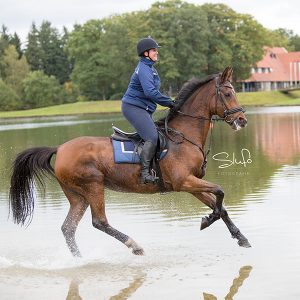 Paardenfotografie: De paardenfotograaf Overijssel