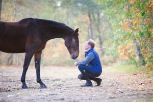 Paardenfotografie: De paardenfotograaf Overijssel