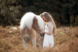 De paardenfotograaf: Paardenfotografie in de hei