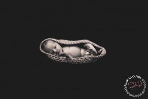 Newbornshoot Twente