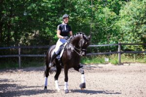 Paardenfotografie - de Paardenfotograaf