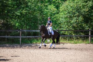 Paardenfotografie - de Paardenfotograaf