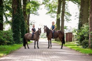 Paardenfotografie - de Paardenfotograaf