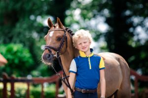 Paardenfotografie - de Paardenfotograaf