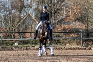 Paardenfotografie - de Paardenfotograaf