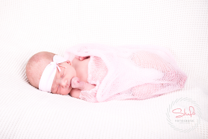 Newbornshoot Nijverdal