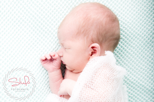 Newbornshoot Nijverdal