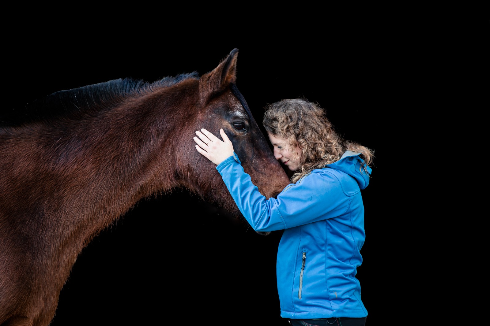 Blackphoto paardenfotografie